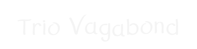 Trio Vagabond, musique irlandaise